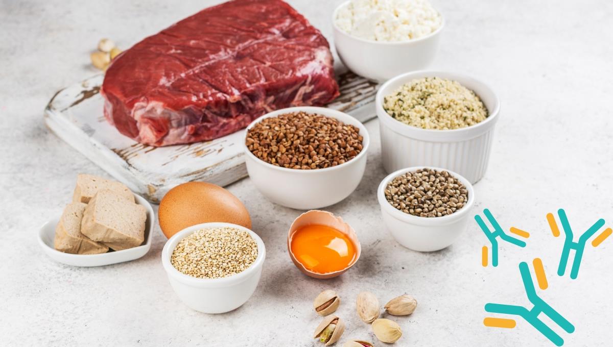 Cuánta proteína hay que consumir por día y cómo obtenerla